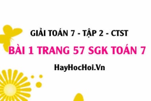 Giải bài 1 trang 57 Toán 7 tập 2 SGK Chân trời sáng tạo